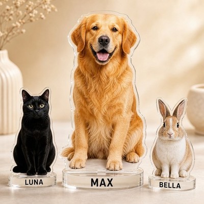 Personalized Pet Photo Acrylic Standee Custom Dog Cat Desk Figurine Gift