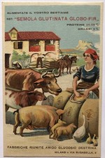Gluten Globe Semola Advertising Postcard - Fi...