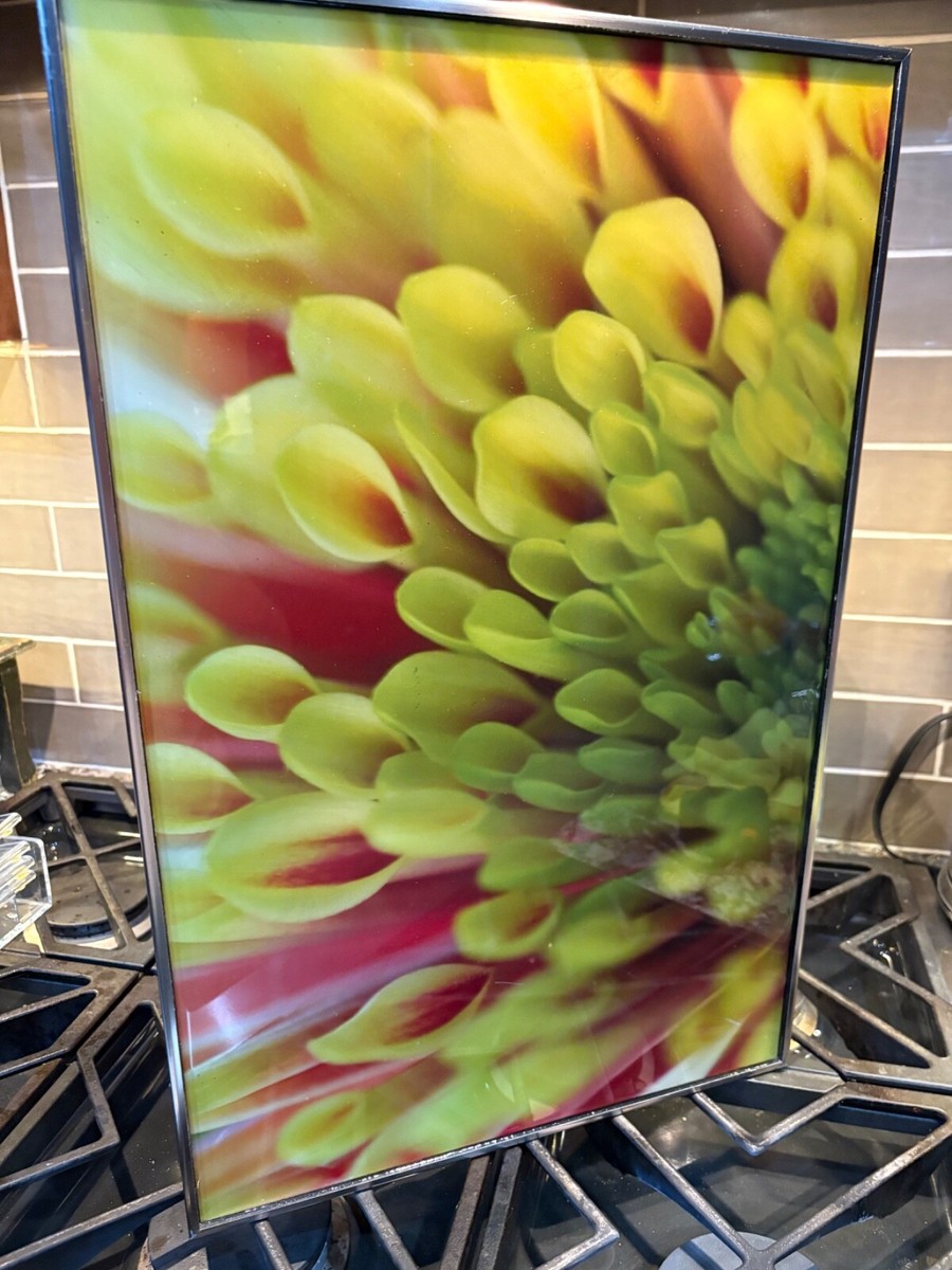 vtg paragon picture gallery title dahlia artist miller 14x22 | eBay