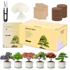 6X Bonsai Starter Kit, Bonzai Seed Kits, Drainable Starting Pots, Complete Indoo
