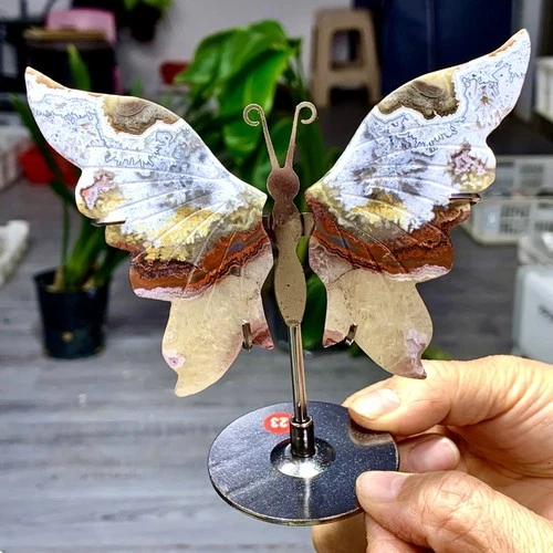 88G Natural Mexican crazy ribbon agate hand carved butterfly wings