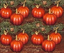 12 ARTIFICIAL PRIMITIVE THANKSGIVING HARVEST FARMHOUSE PUMPKIN BOWL FILLER SET