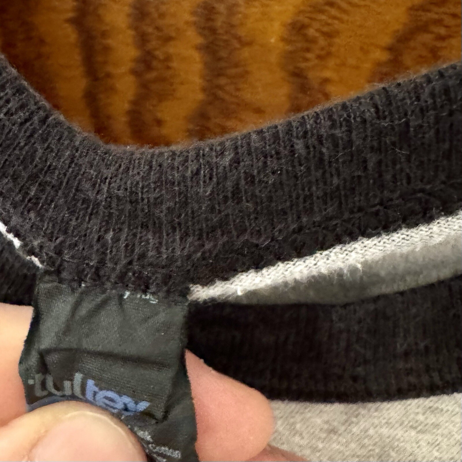 Camicia Envy Atheist's Cornea manica lunga basbeball raglan mono uccellini in fila fascia