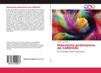 Hector Luis Ramos | HiperdulíA Gudalupana De Carrizal | Taschenbuch | Spanisch