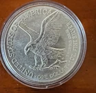2024-W American Silver Eagle $1 Coin 1 oz .999 Fine Silver in Capsule