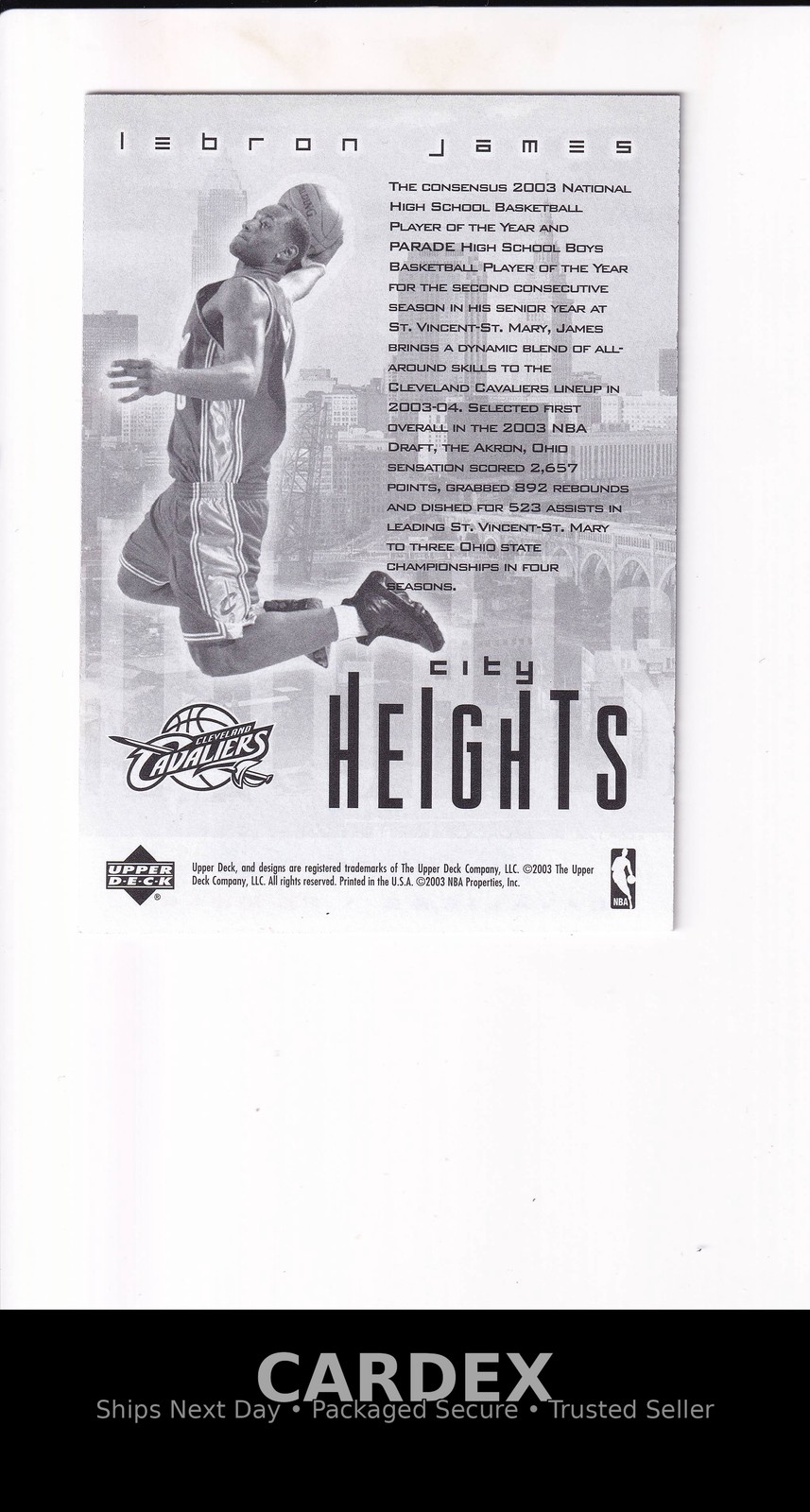 2003 Upper Deck LeBron James City Heights #NNO LeBron James view 2