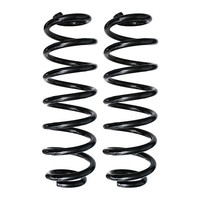 Fahrwerksfedern-Set Hinterachse Schraubenfeder Ø113Mm Spidan FüR U.A. VW Passat