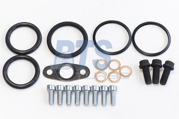 Montagesatz Lader Bts Turbo T931511ABS FüR Bmw 5Er F10 1Er F21 X5 F15 F85 F11 X1-image