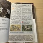 Bild 5 von 13