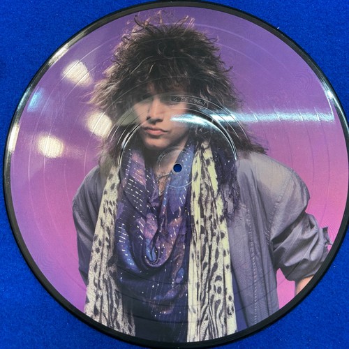 Bon Jovi Slippery When Wet Picture Disc Vinyl Record Limited Edition Polygram NM - Imagen 7 de 16