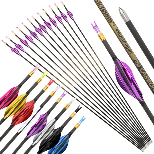 6 X31''Archery Arrow Pure Carbon SP700-1000 ID4.2mm .001''.003'' Shooting Target