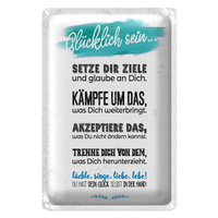 Blechschild Spruch GlüCklich Sein Setze Dir Ziele 20X30Cm