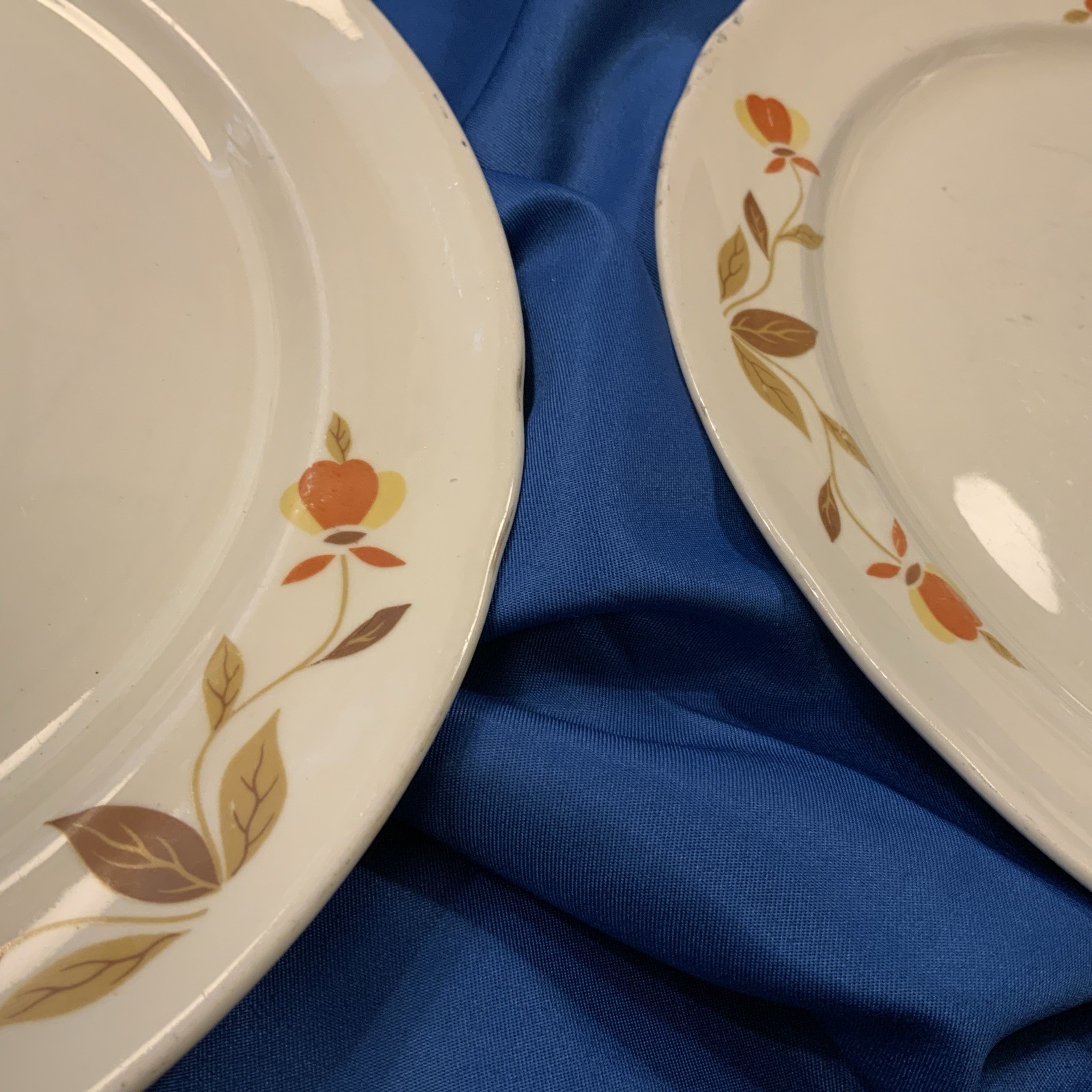 Vintage Fall Themed Superior Hall Quality Dinnerware Set Of 