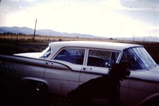 1960 Dog With Classic Car  Slide CO-H