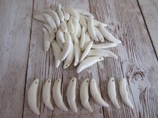 5 Fox Teeth/Fangs Drilled Crafts Beads Jewelry Bones (Vulpes vulpes fulva)