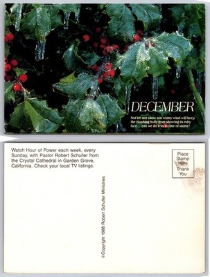 December Ice Holly Robert Schuller Ministries Postcard