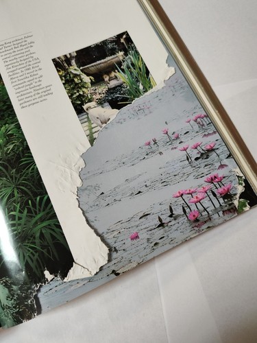 Tropical Garden Design - Made Wijaya - Softcover - Acceptable USED - Ripped - Imagen 6 de 10