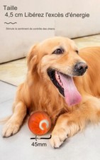 Grossiste Balle Sonore Pour Chien Orange