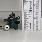 Picture 6 of 6