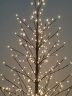 Bild 7 von 12