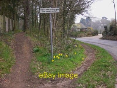Photo 6x4 Elstead Road with footway, horse margin, seat and daffodils God c2011