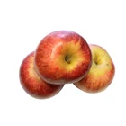 Annurca Apple 10 Kg