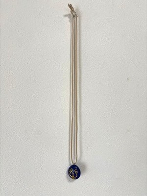 Laputa: Castle In The Sky Flying Stone Strap Character Goods Ghibli