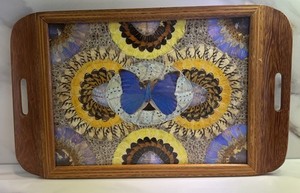 Exceptional Vintage Taxidermy Butterfly Inlaid Wood Vanity Tray 21” X 13”