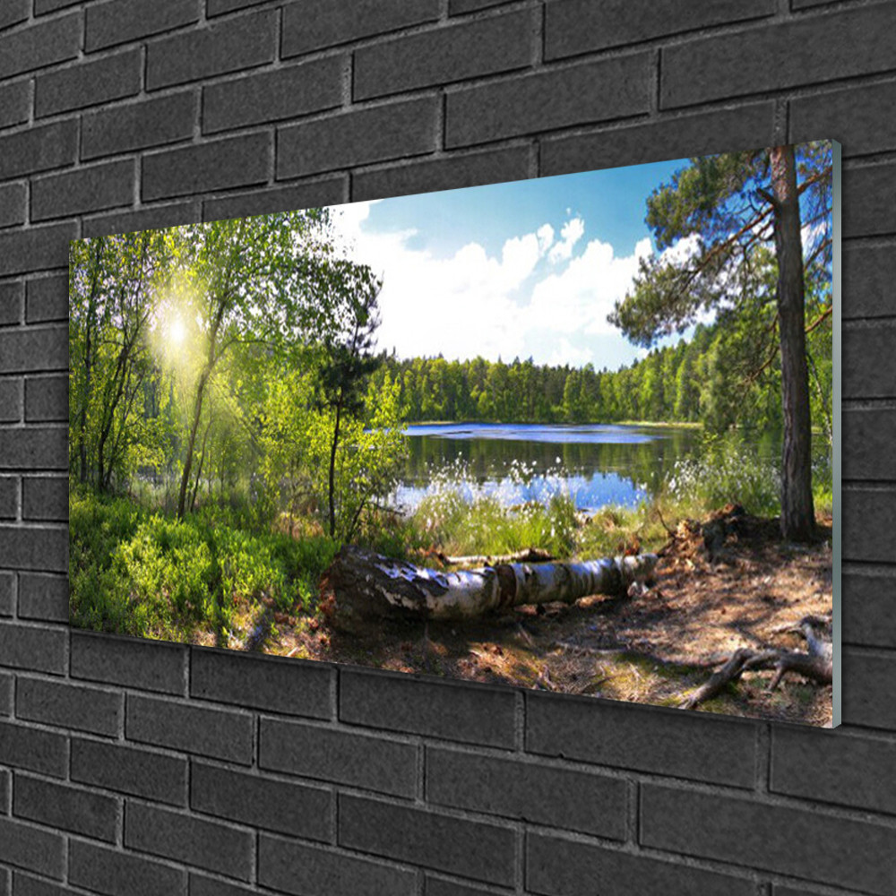 Tableau sur verre panoramique 100x50 décoration murale nature lac et forêt