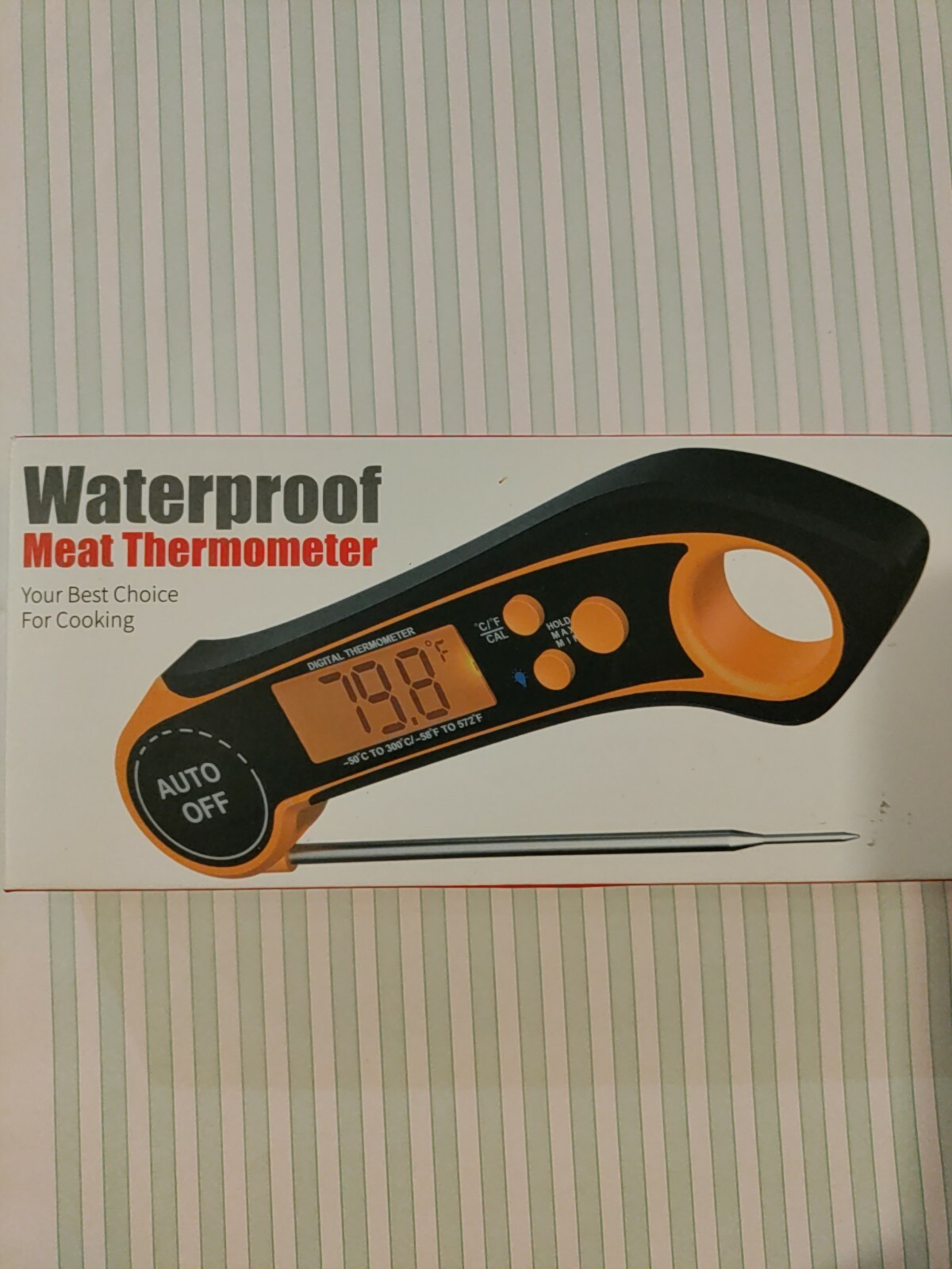 meat thermometer digital-image