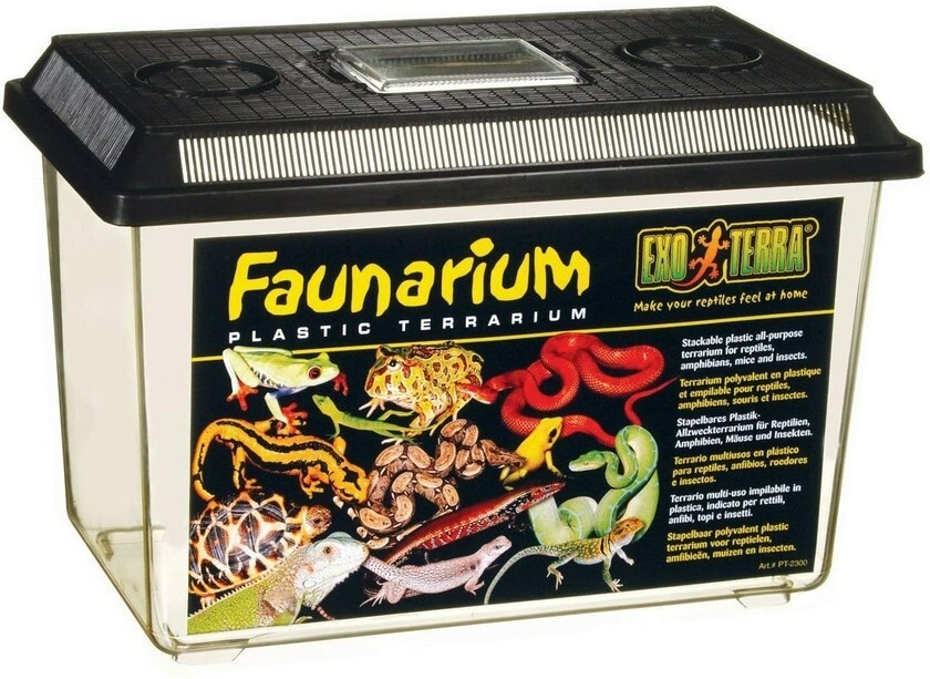 Exoterra Faunarium Grand boîte élevage reptiles et amphibiens 37cm