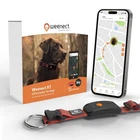 Weenect Dog XT  NEW GPS Collar for Dogs | XL Antenna | Waterproof | UltraDura...