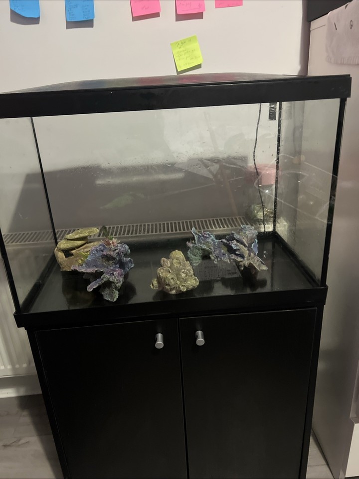 Fish Loader Machine Aquarium Fish Tank with Full Equipment | eBay Australia