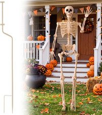 5 FT Halloween Skeleton Decor with Stand, Posable Life Size Skeleton, Full Body