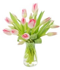 NEXT DAY DELIVERY - Bouquet of 20 Pink Tulips with Vase .Gift for , Sympathy,...