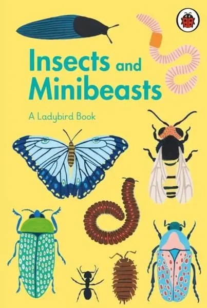 A Ladybird Book | Insects And Minibeasts | Amber Davenport | Buch | Gebunden-image