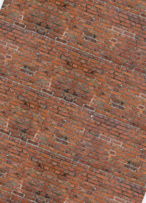 1/18 rustikale rote Backsteinmauer (5 Blatt) Portrait 0291