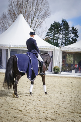 Tutti Sanno Lavorare Con I Cavalli, Ma Pochi Sanno Davvero Comunicare - Foto 4