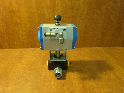 pneumatic actuator - Picture 2 of 3