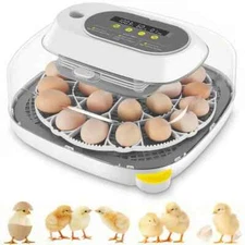 12/18/20/24 Egg Incubator with Automatic Egg Turning and Humidity Control Chick