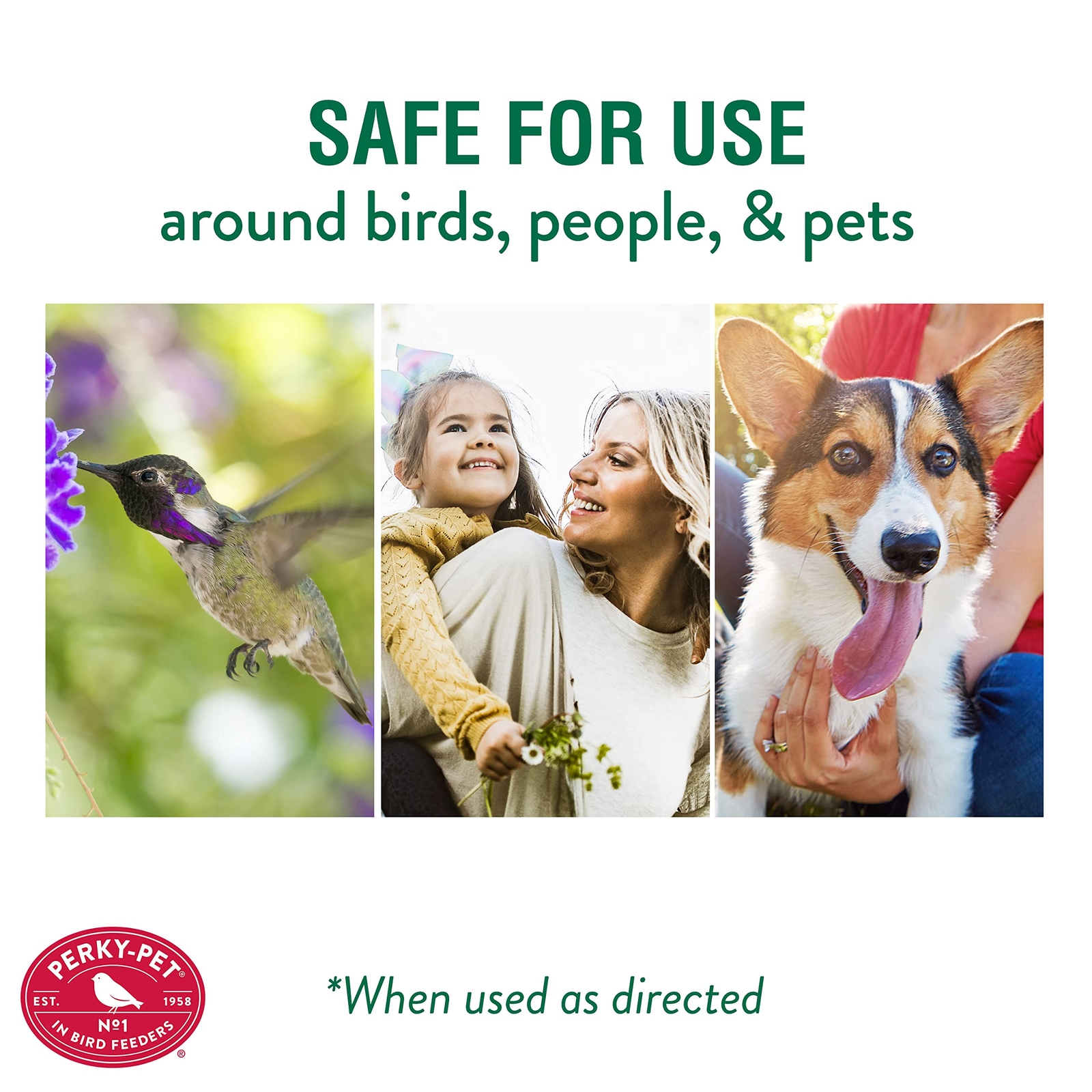 PerkyPet 245L Ant Guard for Hummingbird Feeders 78978245013 eBay