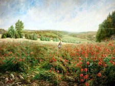 Landscape Field of Poppies Tile Mural Bathroom Wall Backsplash Marble Ceramic