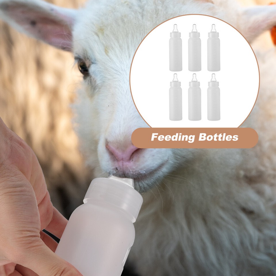6Pcs Calf Nursing Bottle Lamb Feeding Supplies Dog Feeding Bottle eBay