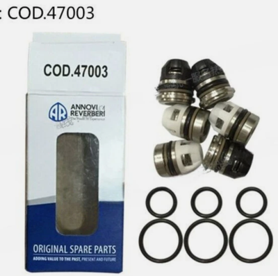 #ad 1Pcs For AR high pressure pump matching one way valve set COD.47003 $330.00