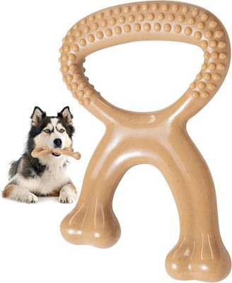 Aggressive Chewers, Indestructible Nylon Bone Dental Care Teeth Cleaning Chew