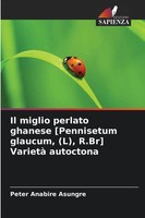 Il Miglio Perlato Ghanese Pennisetum Glaucum, (L), R.Br Varietà Autoctona Buch