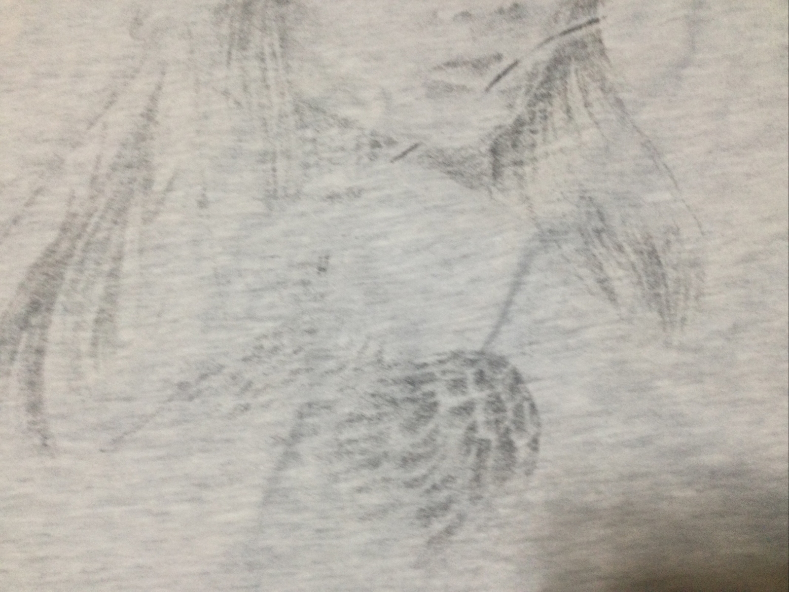 Picture 7 of 13