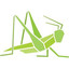 The Grasshopper Store