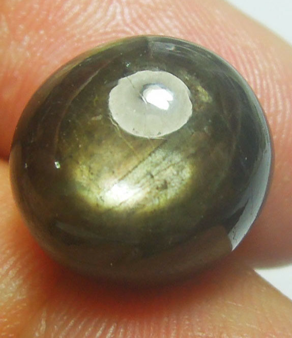 GEMSTONE CAT EYE SAPPHIRE GEMS 21.80 CT HARDNESS GOLDEN BLACK STUNNING
