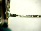 Bild 12 von 12